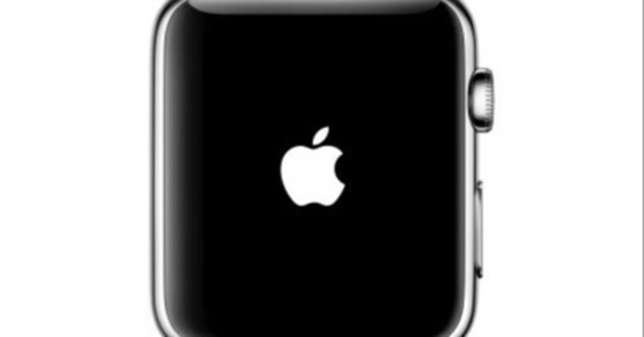 Record of Resolving the Apple Watch Apple Logo Loop with a Young Lady's ...