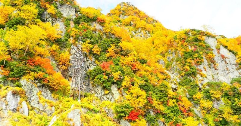 【これぞ日本の秋】立山黒部アルペンルート