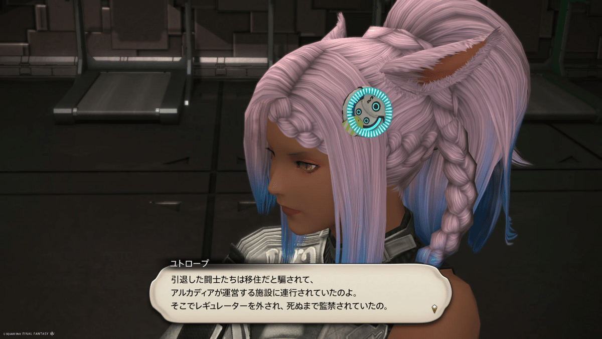 ファイナルファンタジー14 FINAL FANTASY XIV レギュレーター FINAL FANTASY XIV Regulator | SQUARE ENIX Store