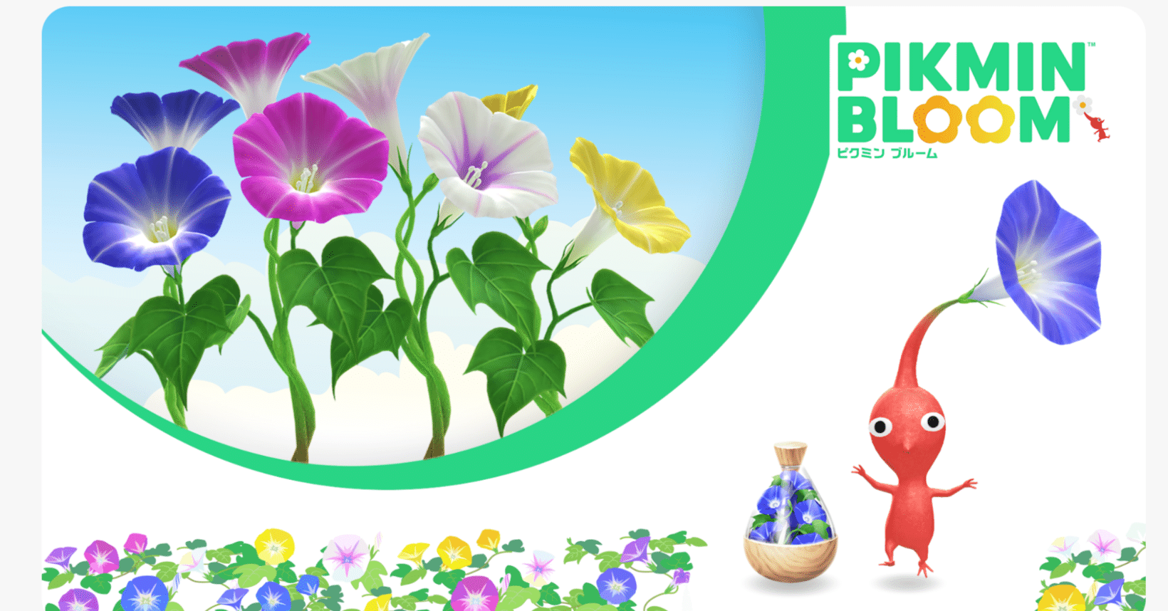ピクミンブルーム 2024年8月戦略・戦術｜まこさん