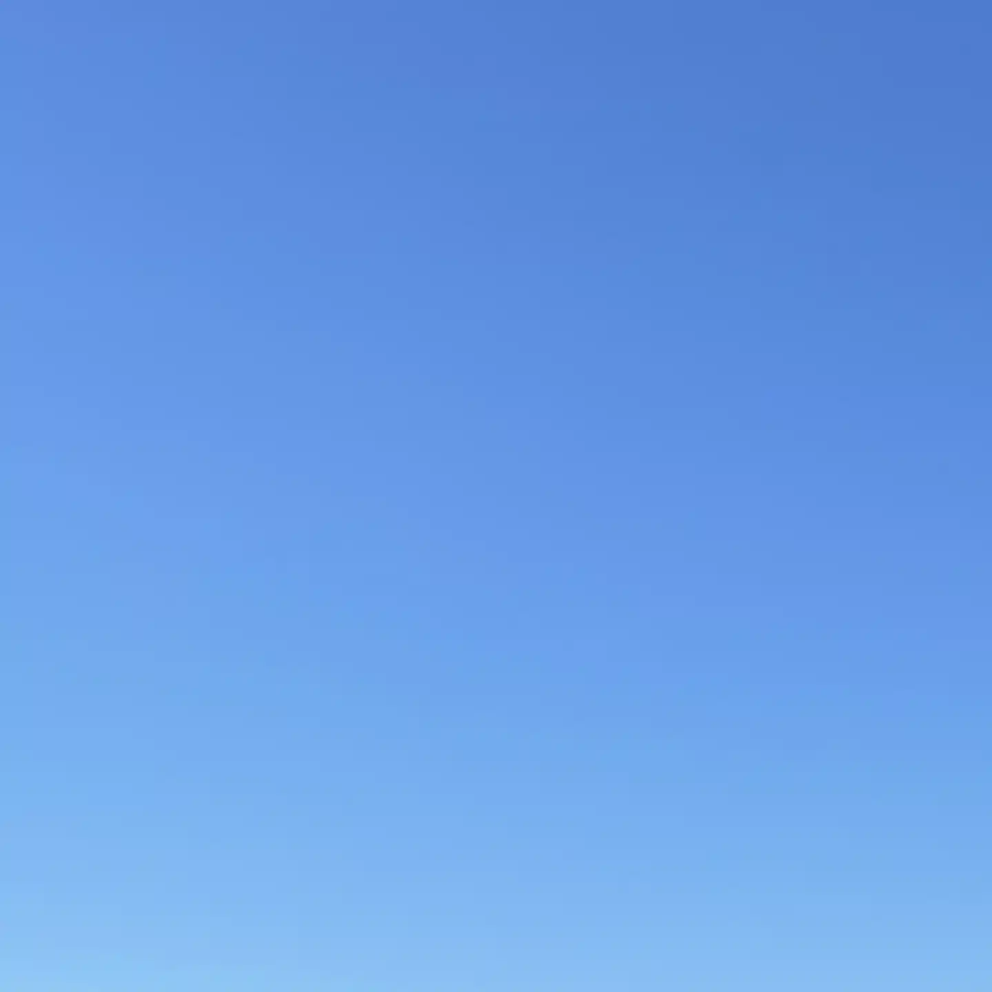 プティ