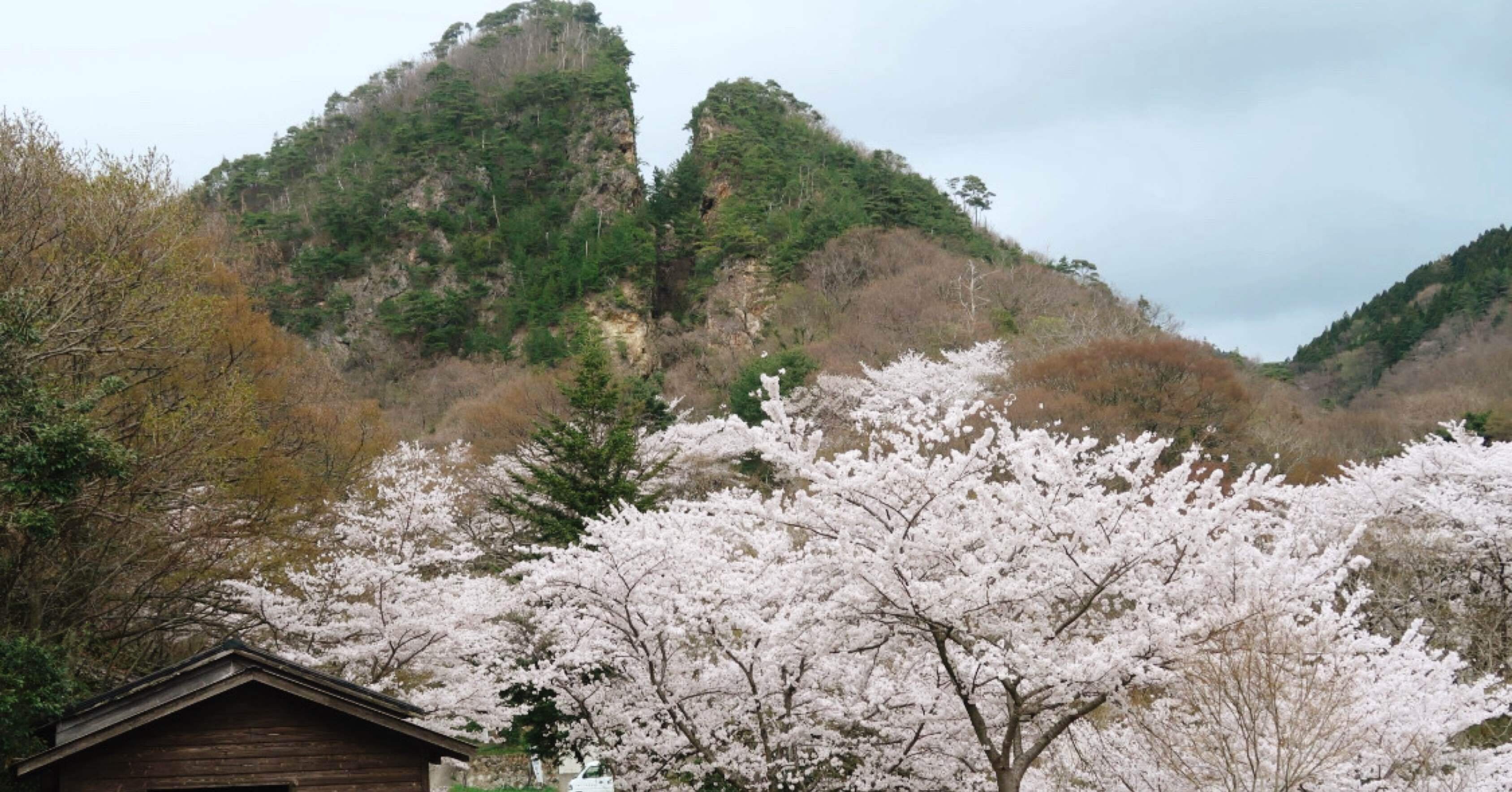 世界遺産 佐渡ヶ島 佐渡金山 砂金　76粒 世界遺産 佐渡ヶ島 佐渡金山 砂金 76粒