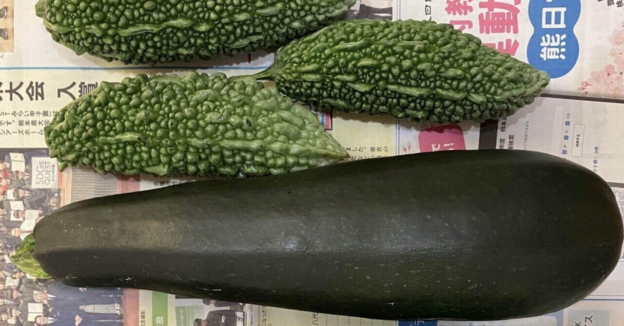 夏野菜 ズッキーニ編(玲音記者)｜くまモン記者団