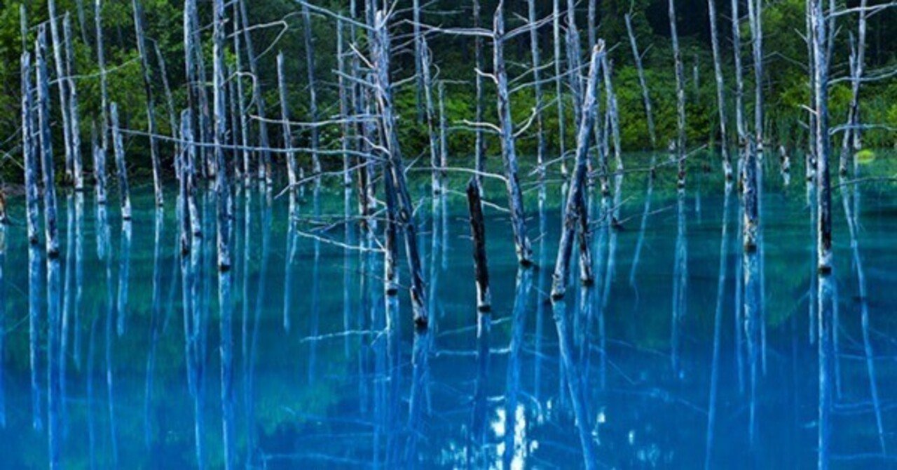 美瑛町、青い池にいってきました。｜ChatGPT実務セミナ講師