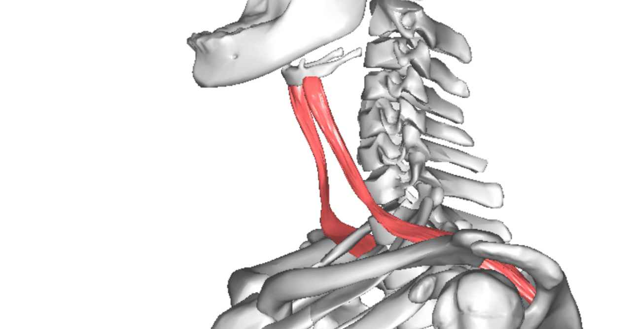 2019.10.3 筋肉の海に浮かぶ船｜笹倉慎介／Shinsuke Sasakura