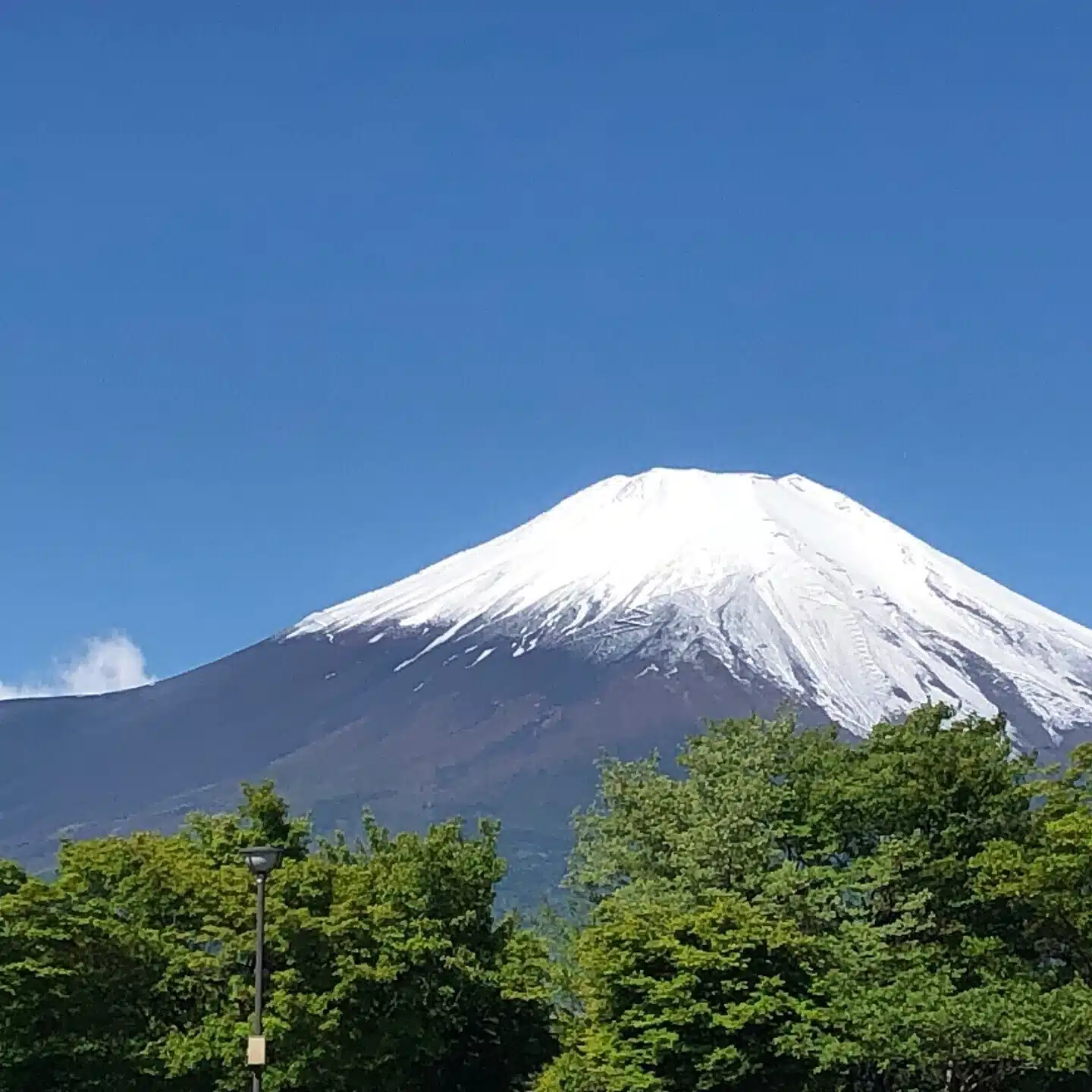 五合目