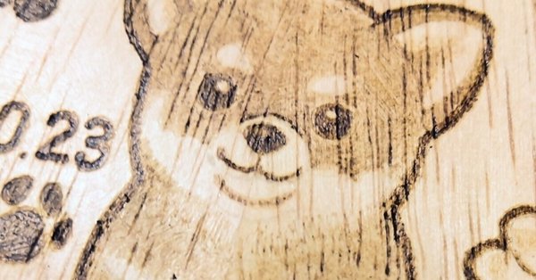 YK様の気持ち(ウッド バーニング法) 71Mp9WKx54L.jpg