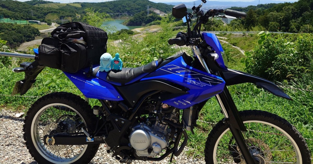 ジータレーシングWR155R 、WR250R/X ‘07-20 ウィンドシールド Amazon | ジータレーシング(ZETA RACING) WR155R '20 WR250R/X