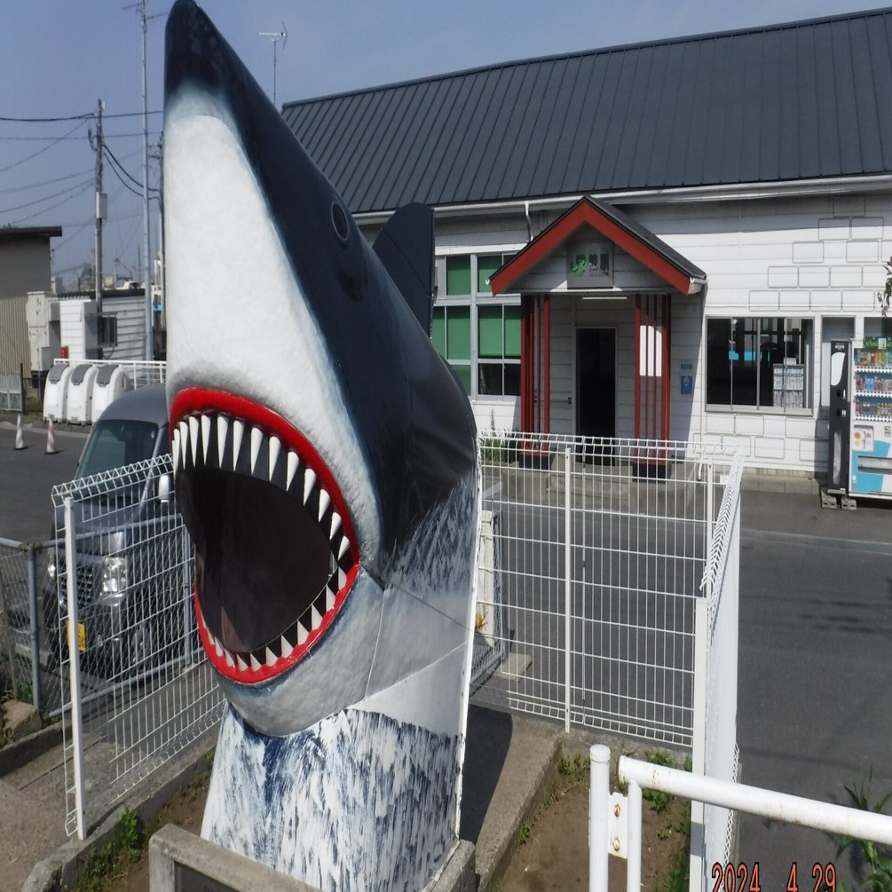 サメ 超激レア】エイリアンみたいに顎が飛び出す深海ザメ！ワニグチツノザメ