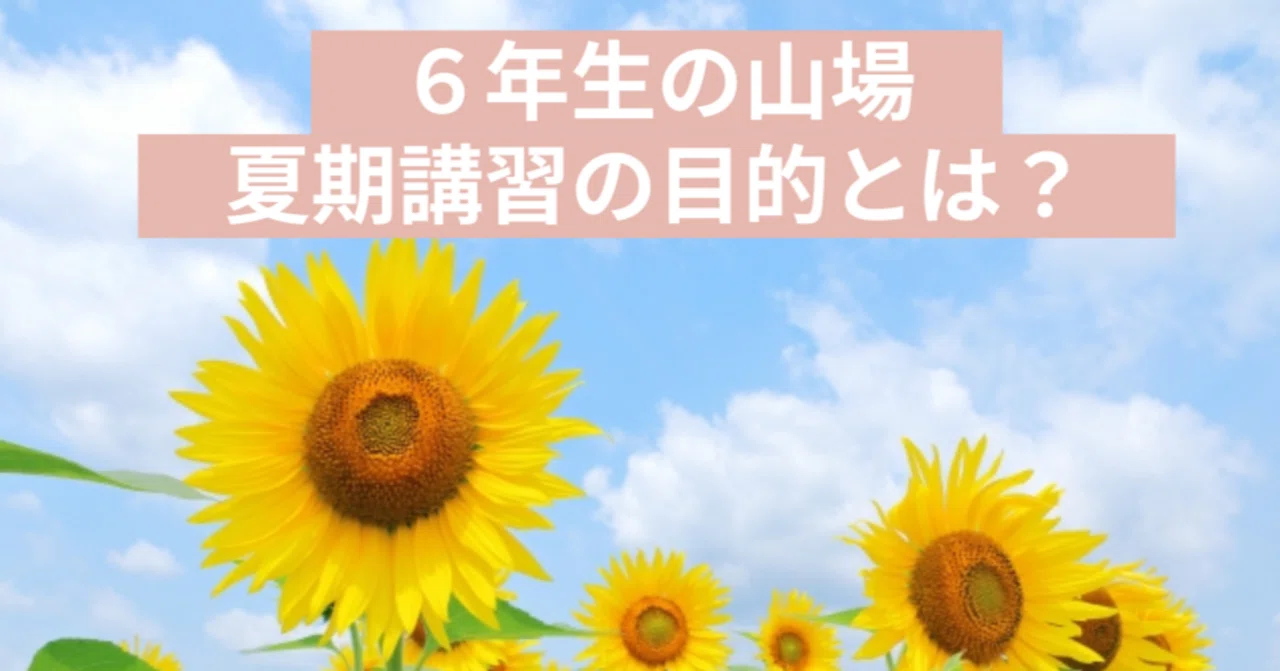 中学受験 算数】6年生の夏期講習の目的｜元SAPIX6年αブロック担当