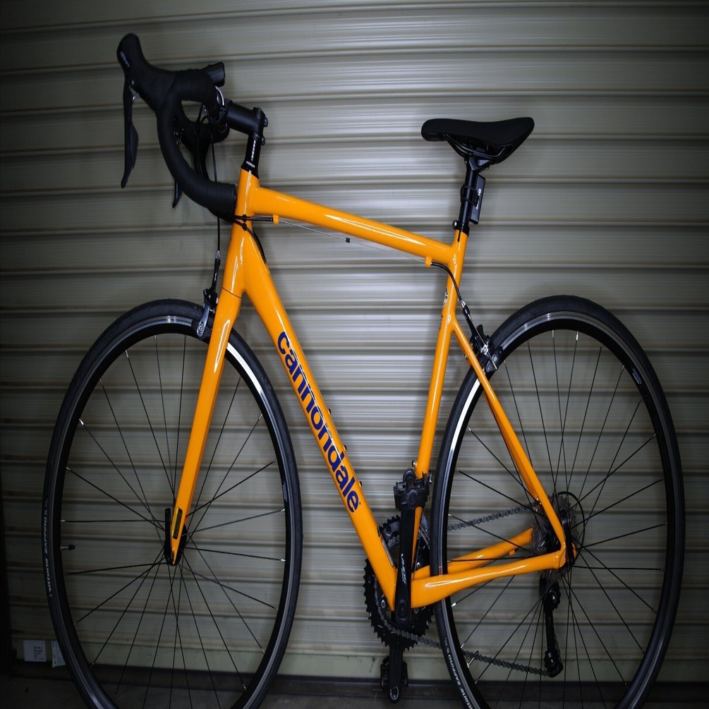 限界独身オタク男性が日常の足用にロードバイクを買った話｜すけーとべーす