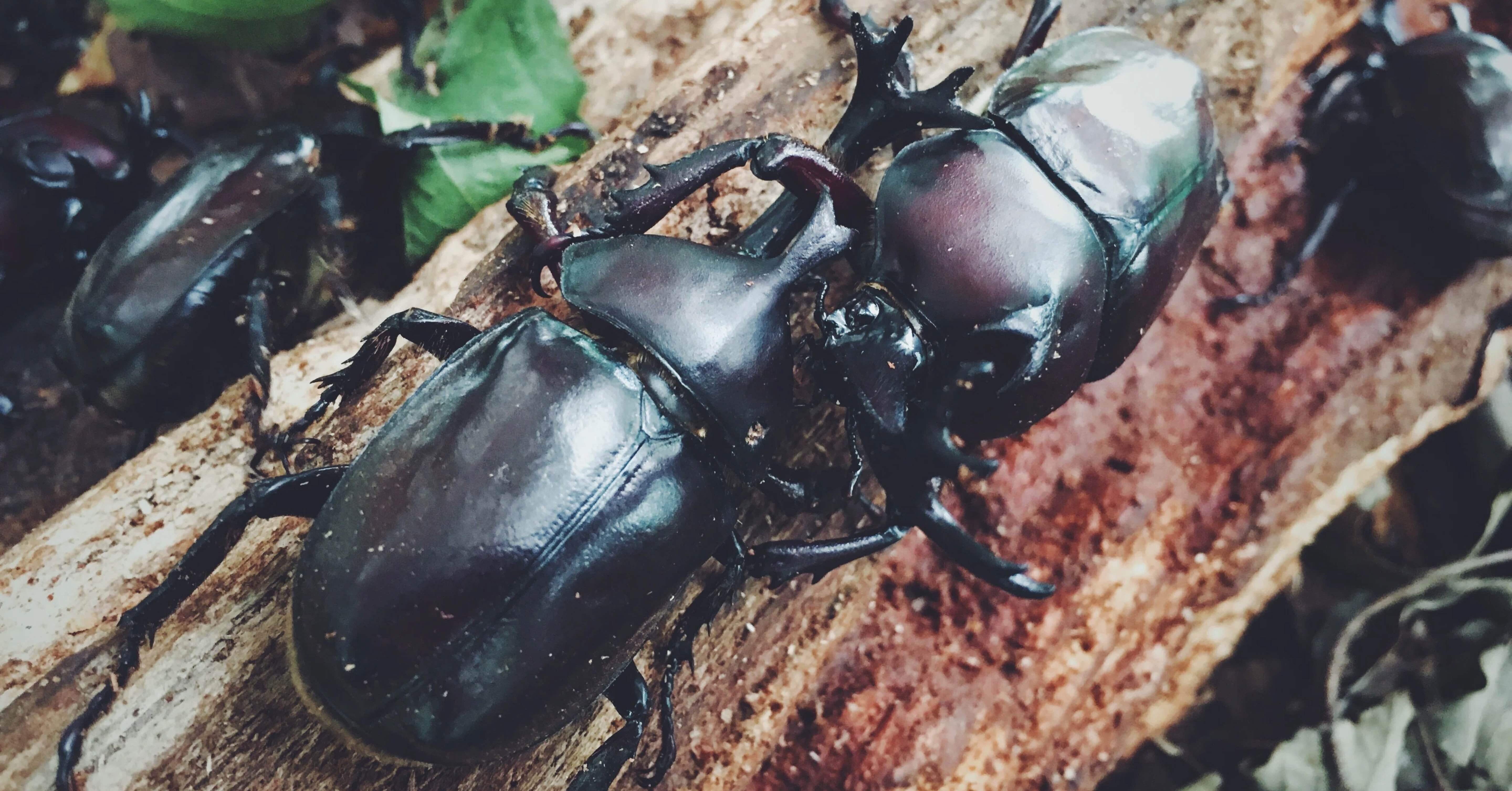 d1817ad2fae76770570bb2232bfe71