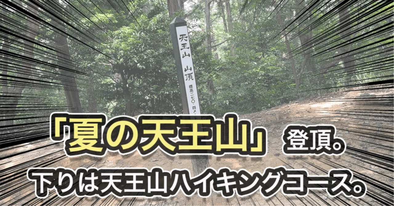 「夏の天王山」登頂。下りは天王山ハイキングコース。｜ごろ〜にゃ@放射線科医（画像診断医）