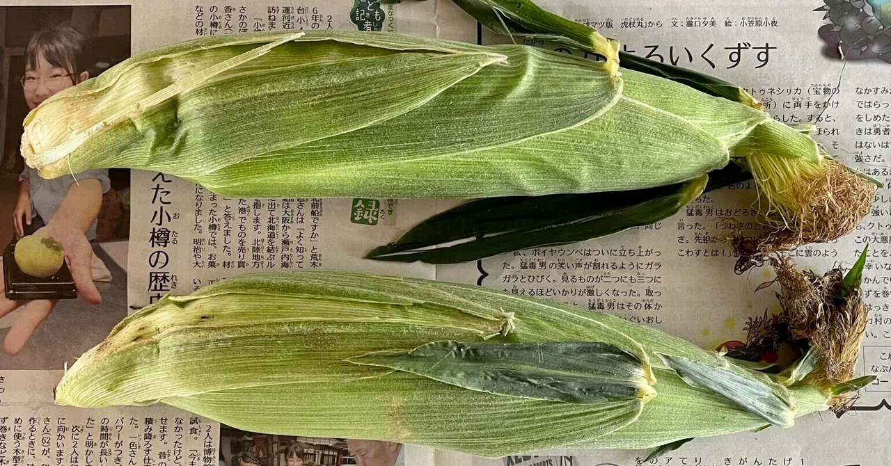見出し画像
