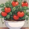 野菜や植物の育て方