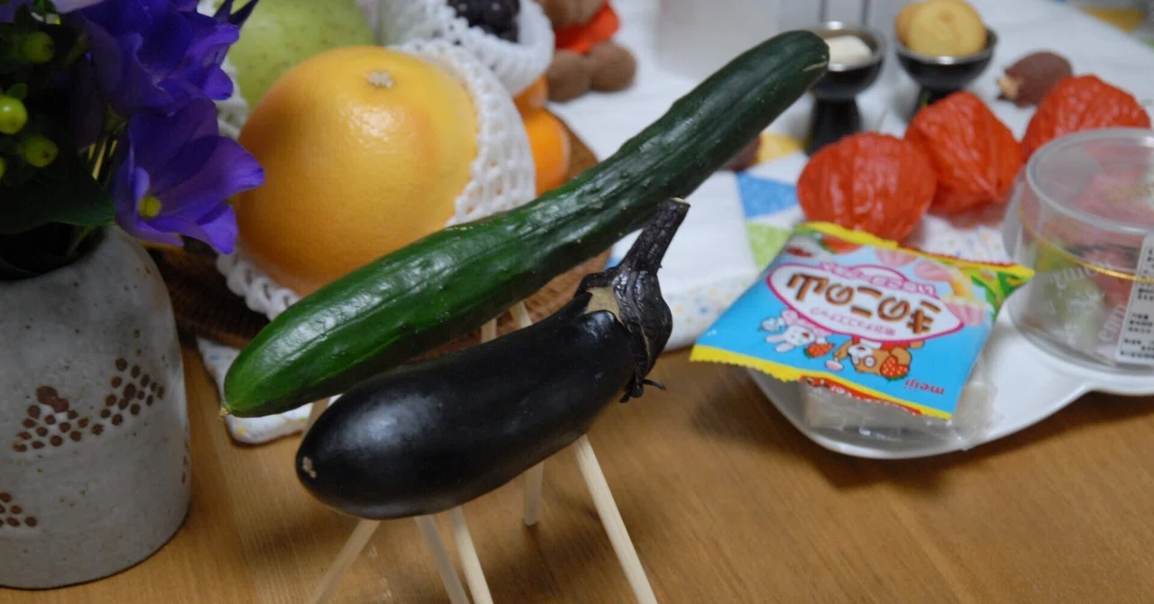 My son riding a cucumber horse｜heirlooms