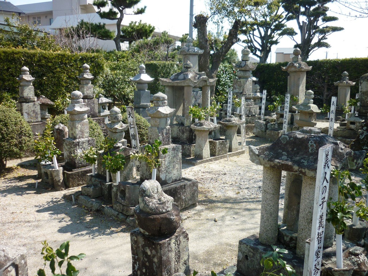 雑記：蜂須賀家と平島公方｜綾