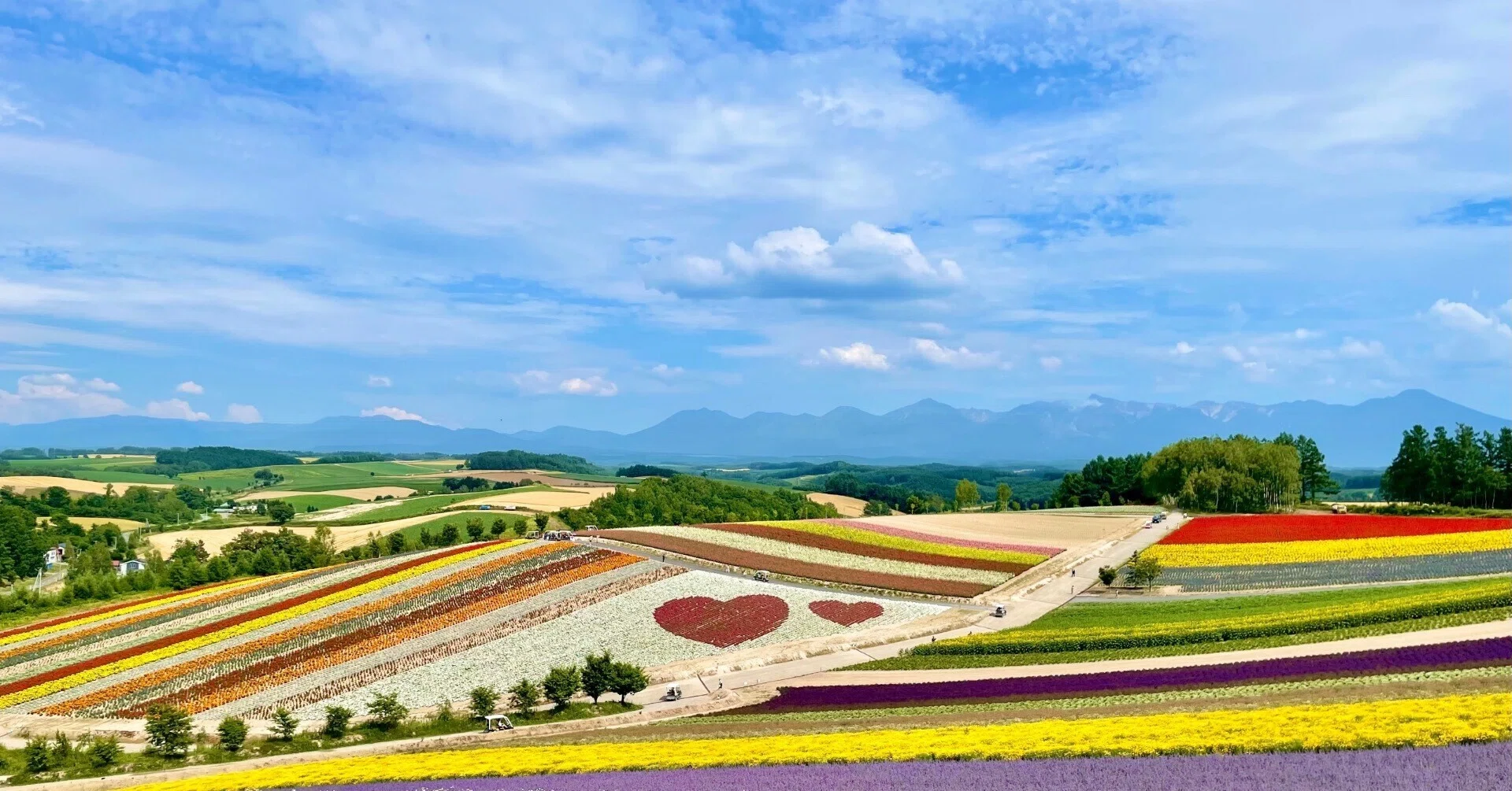 ときめきと癒しの北海道旅②｜丘と花畑のパノラマ?美瑛・富良野編 