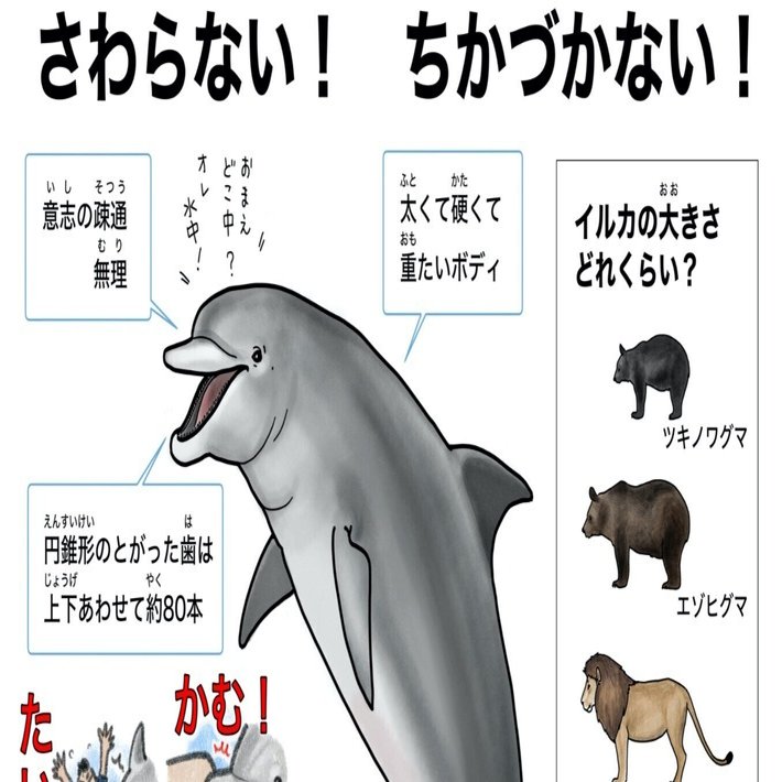 8/28更新】「海で #イルカにであったら 」注意喚起ポスター＆ぬりえ