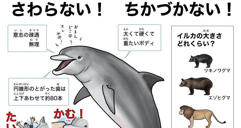ポスター - 海でイルカにであったら｜Shinobu Fukutake｜note