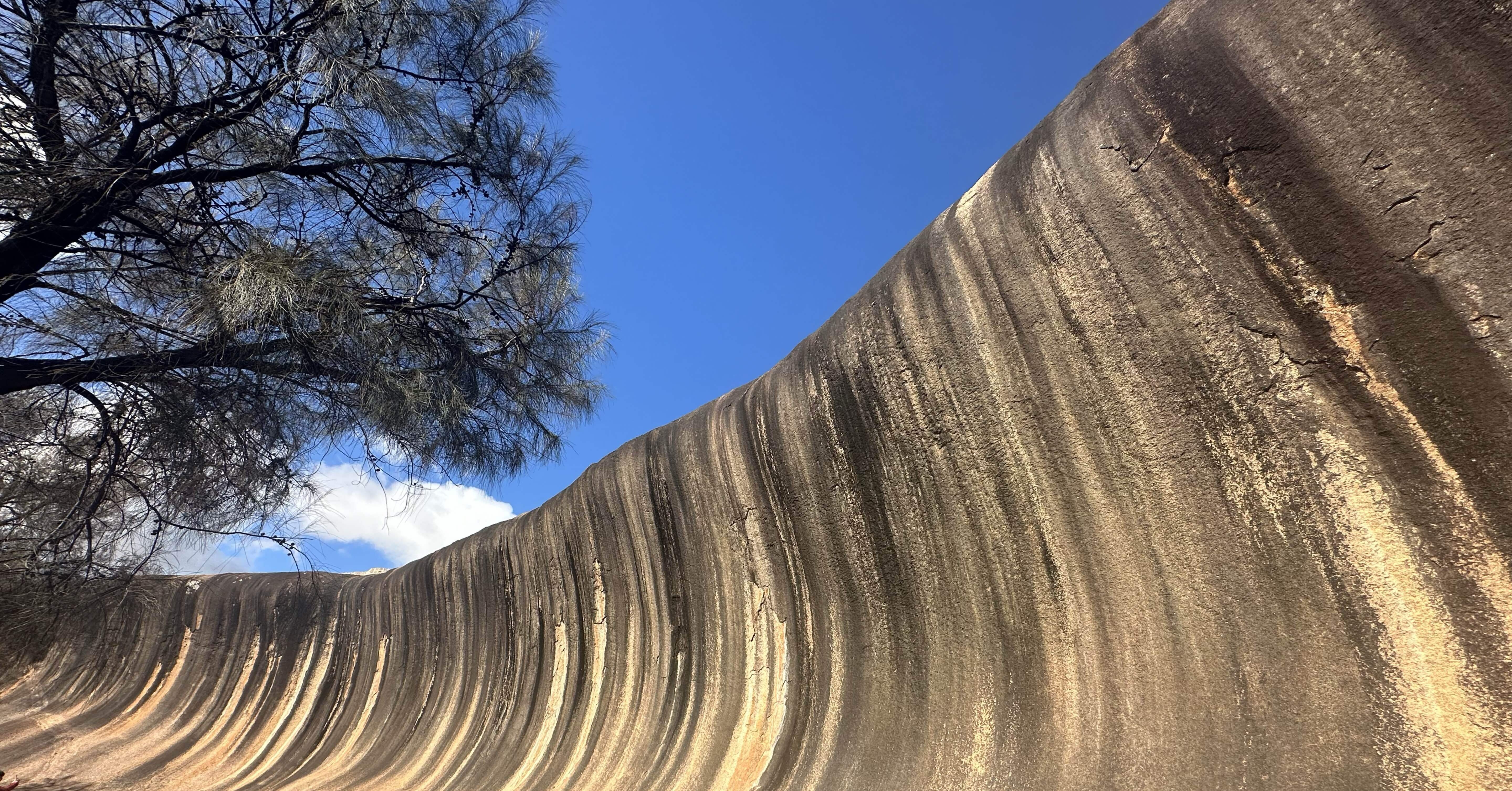 Day12 パース④】ウェーブロックのウエ｜ろい