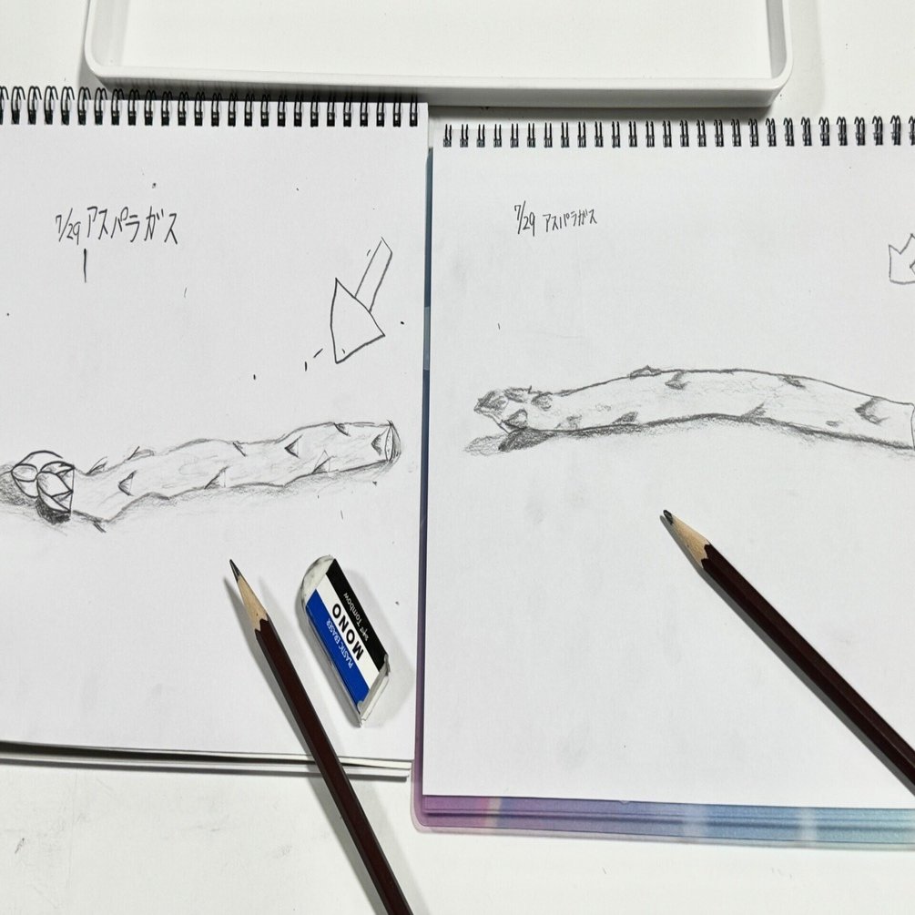 SAPIX 夏休みの宿題 小学3年生 理科 サピックス 夏期講習｜そよみんの