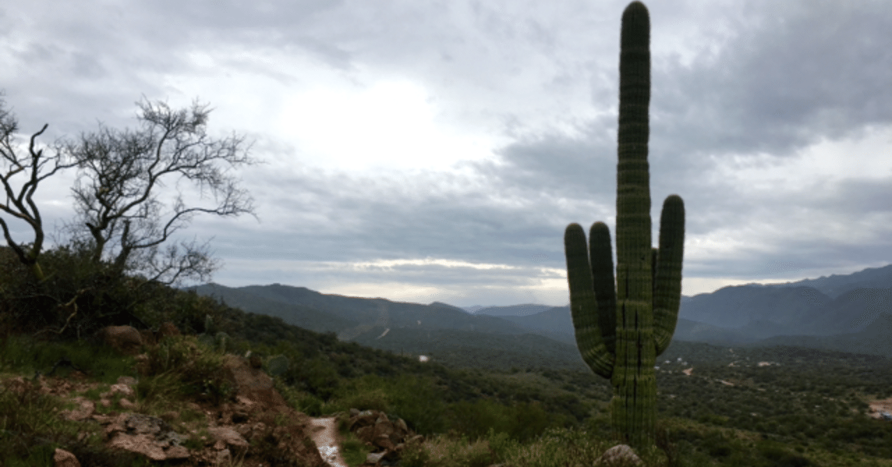 雨のアリゾナ100 ウルトラ 雨対策のポイントは Nick D ロサンゼルス発ビジネスパーソンのための冒険のすすめ Note 雨のアリゾナ100 ウルトラ 雨対策のポイントは Nick D ロサンゼルス発ビジネスパーソンのための冒険のすすめ Note