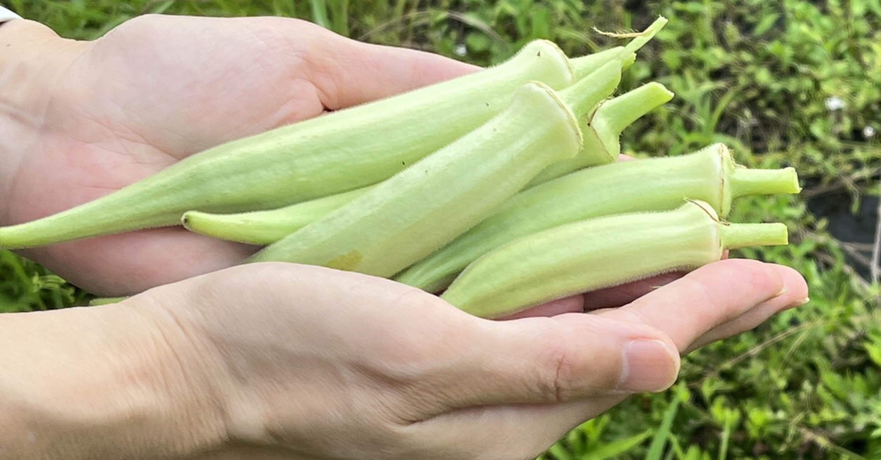 e3d12681bb5fc505f8b5ef65804472