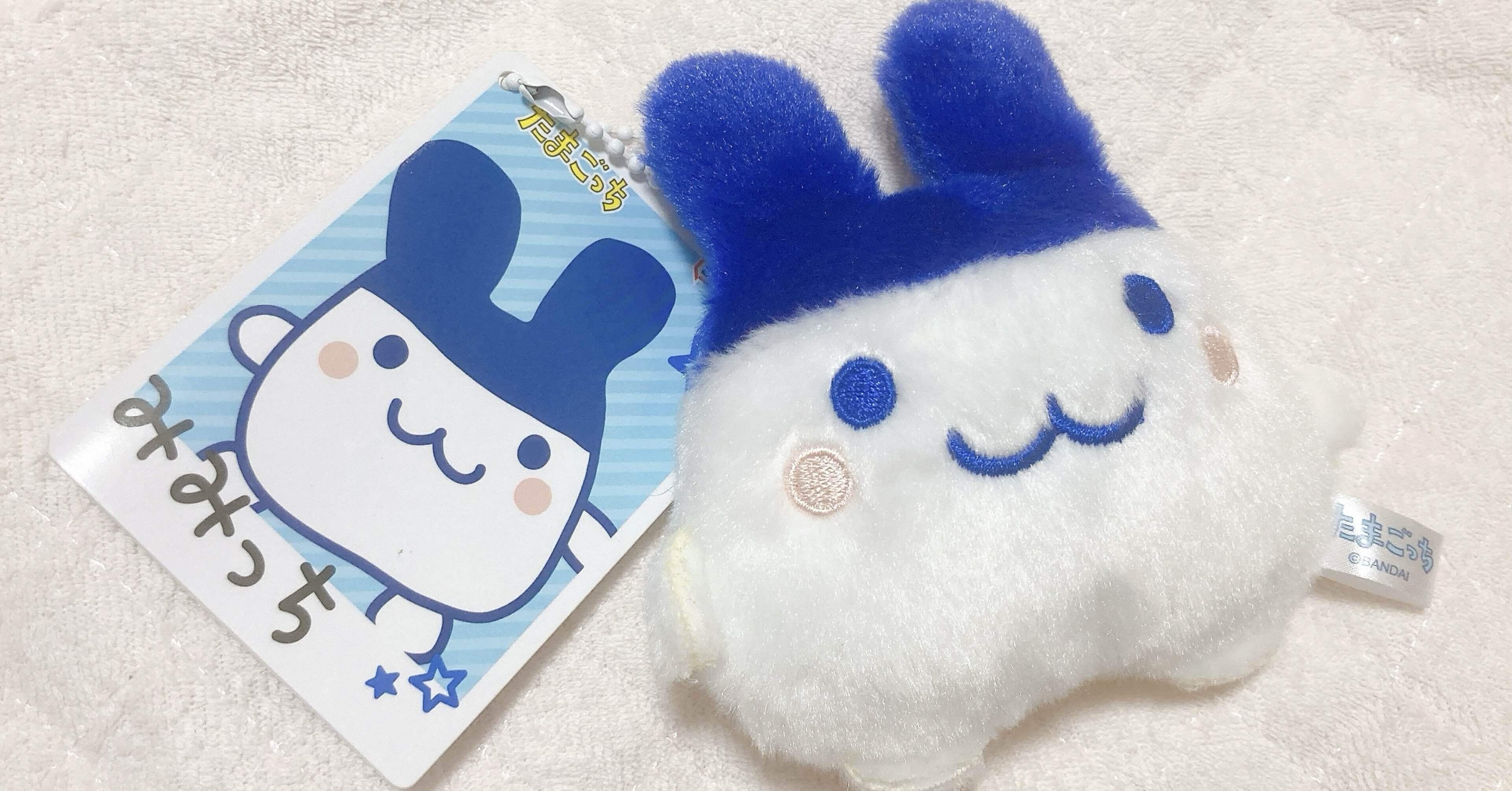 みみっちさんを愛でる - 2024年7月29日｜舟波