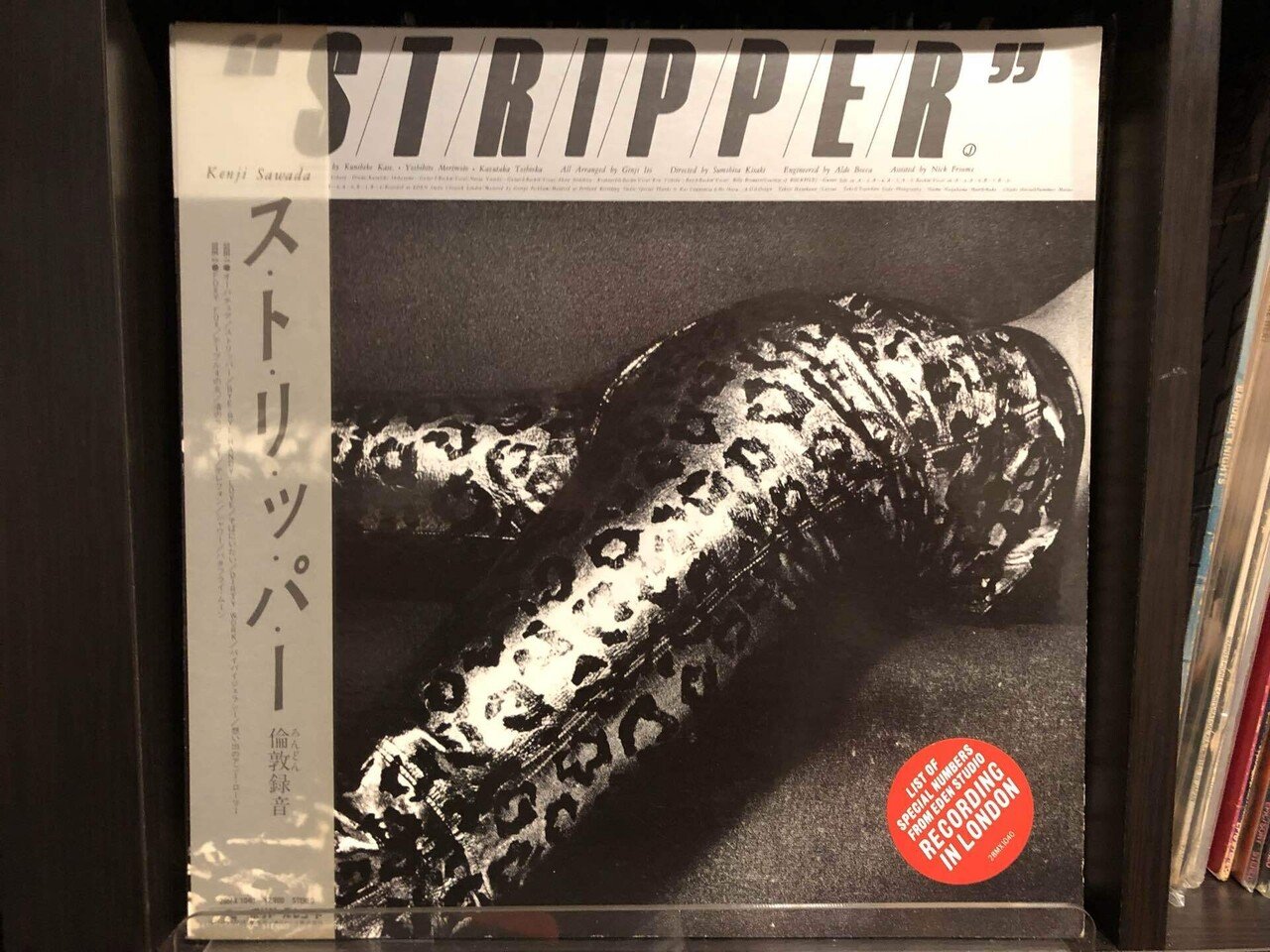 沢田研二 激レア　パネル　ポスター　倫敦 STRIPPER S/T/R/I/P/P/E/R／沢田研二 ('81)｜Takeshi Tada