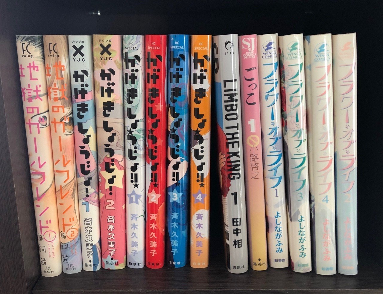 本棚をさらし合おう 私の本棚の全て｜薮内たけのこ