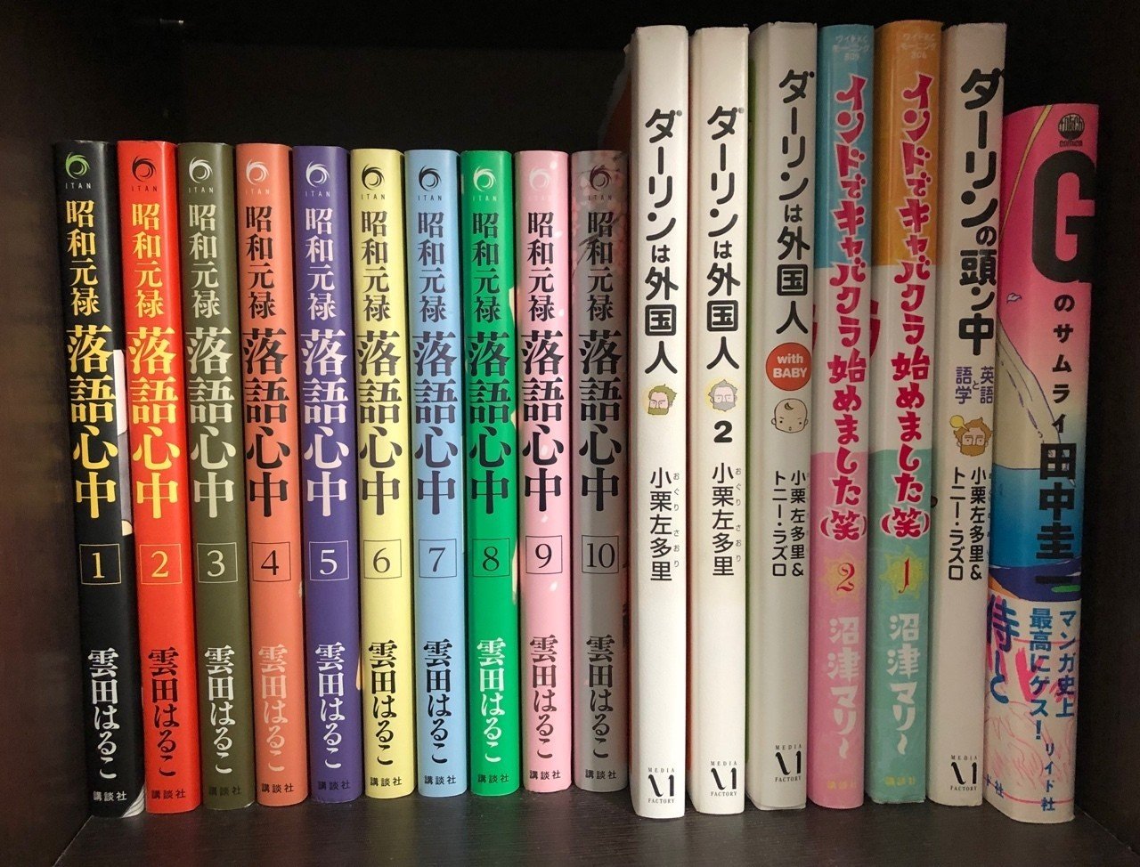 本棚をさらし合おう 私の本棚の全て｜薮内たけのこ
