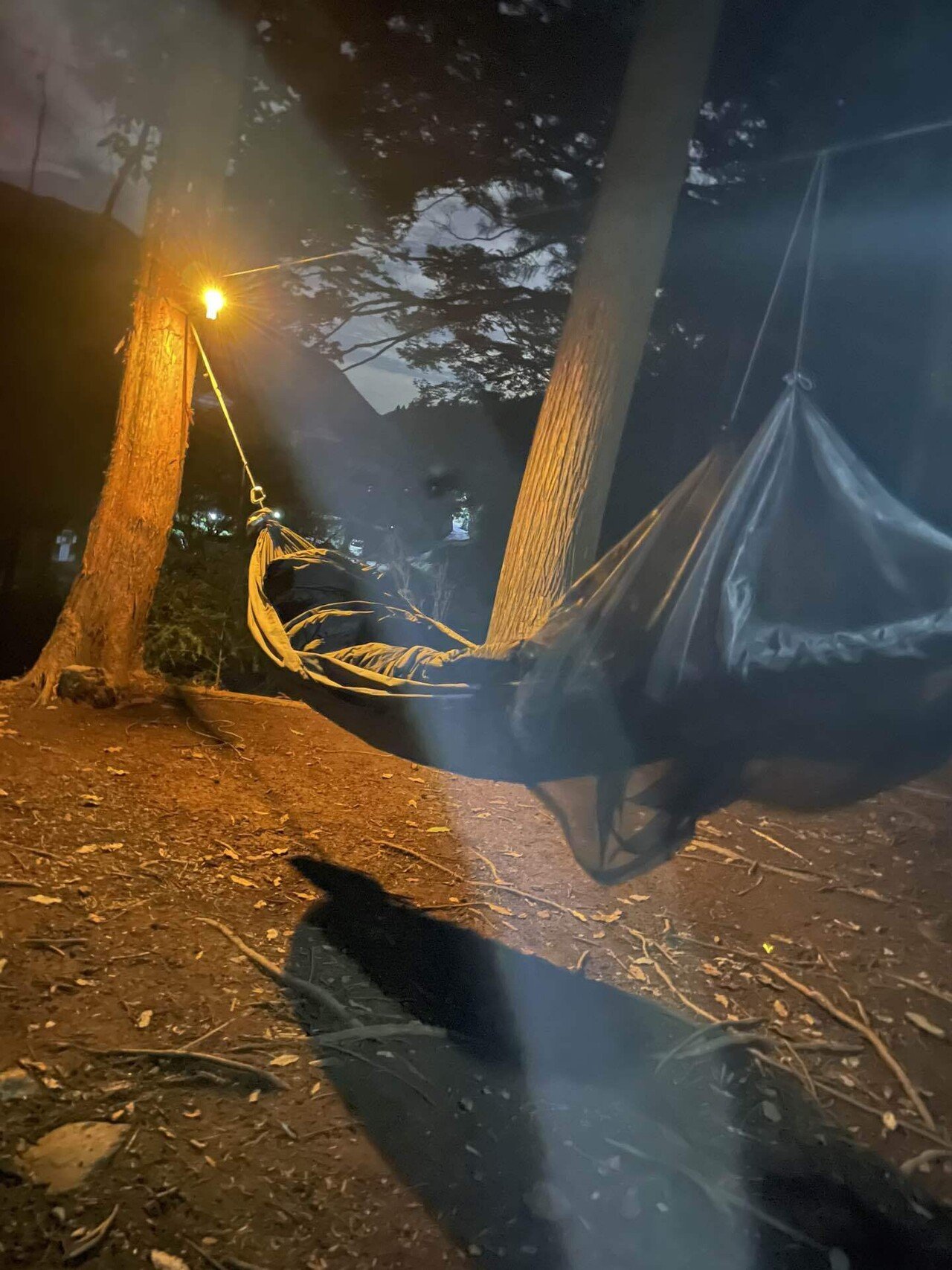ソロキャンプ ハンモック泊 【道志村 WOODSMAN CAMP GROUND ソロキャンプ ハンモック泊 【道志村 WOODSMAN CAMP GROUND