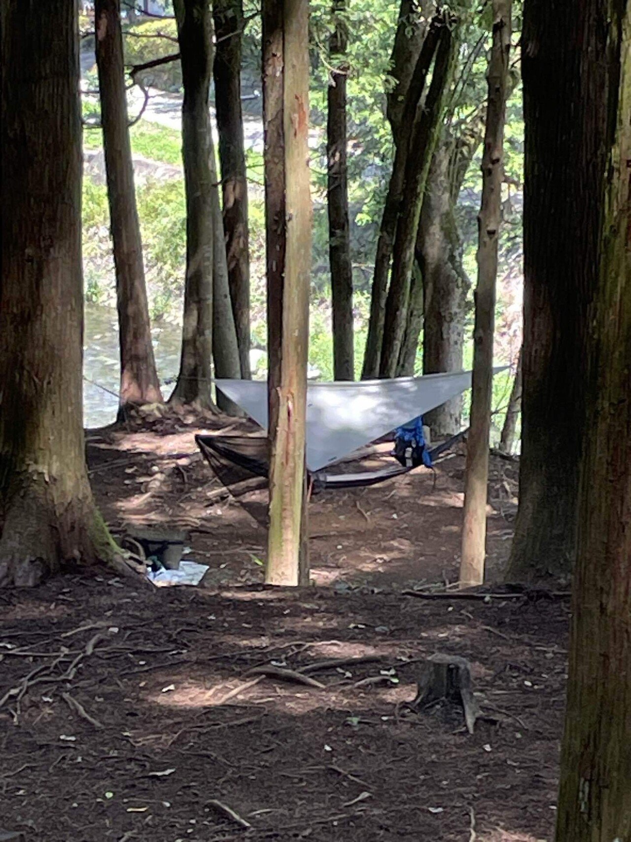 ソロキャンプ ハンモック泊 【道志村 WOODSMAN CAMP GROUND ソロキャンプ ハンモック泊 【道志村 WOODSMAN CAMP GROUND