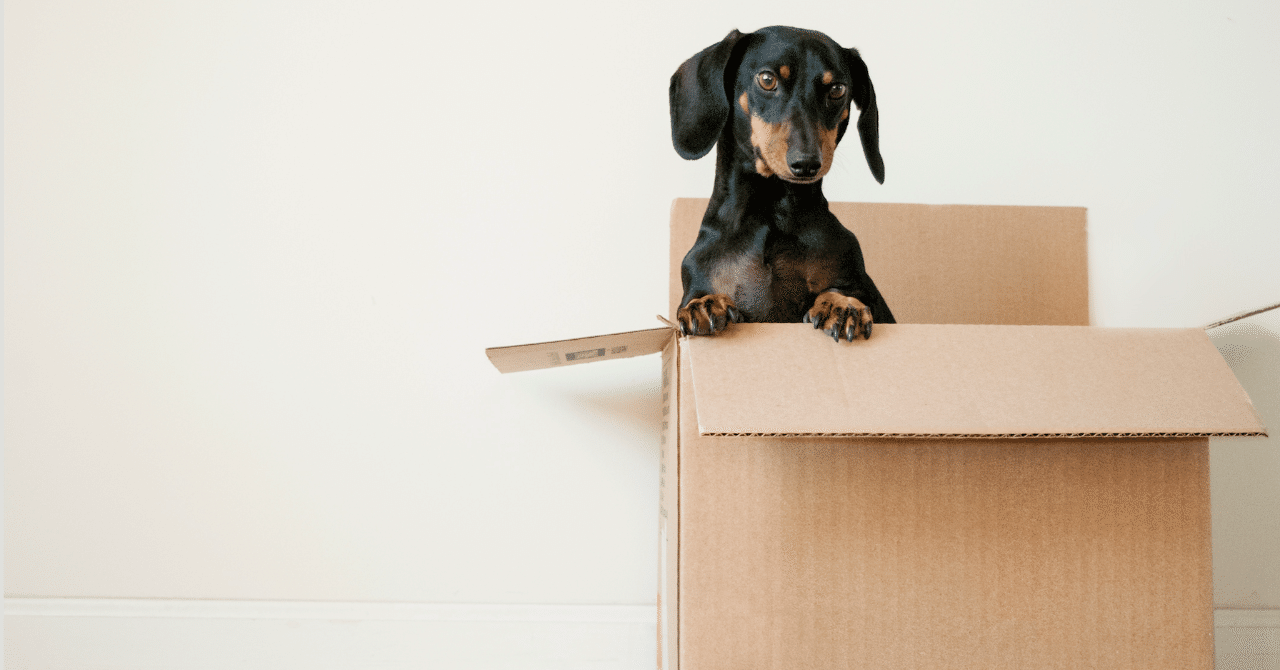 アメリカで引っ越しをした時の話 Yukichi 海外フリーランス Note アメリカで引っ越しをした時の話 Yukichi 海外フリーランス Note