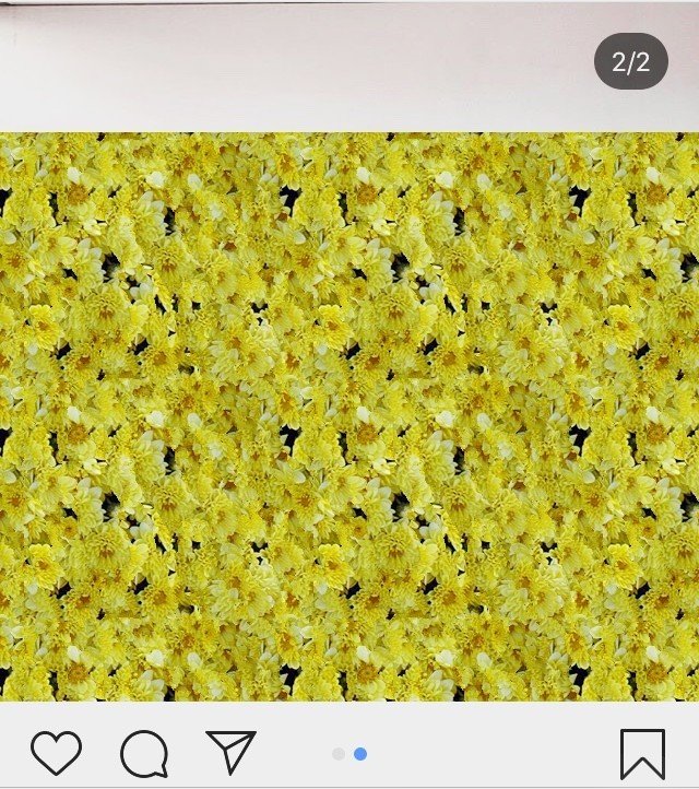 Instagram スワイプできない バグ Pictoria Note Instagram スワイプできない バグ Pictoria Note