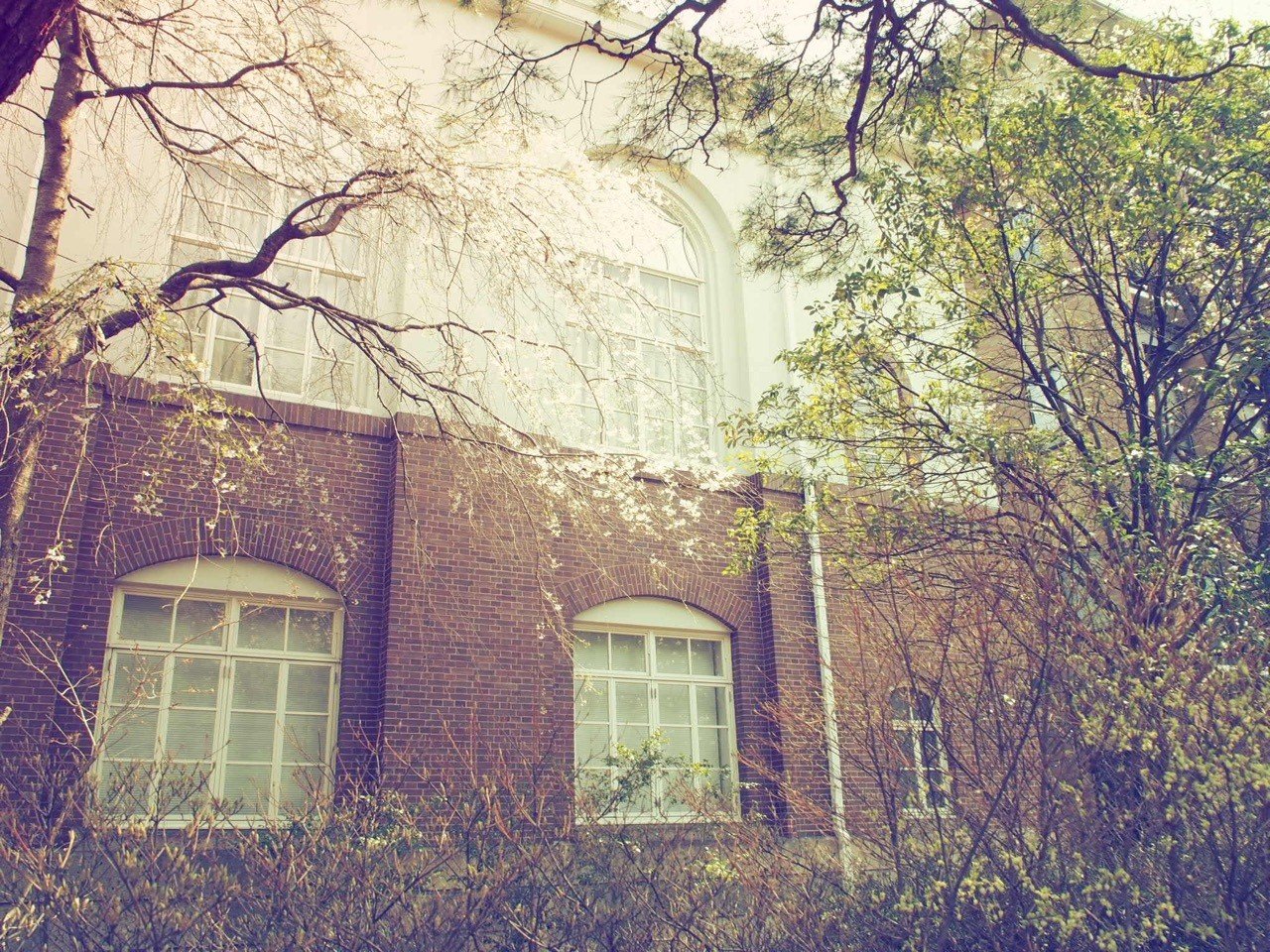 文系大学院へ入りなおすということ 如月桃子 Artレシピスト Note