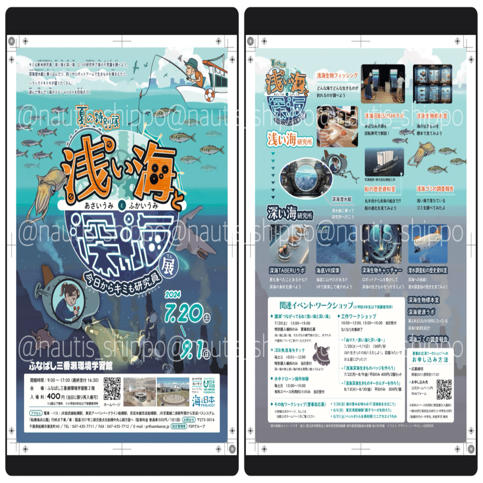 ポスターのお仕事「夏の特別展 浅い海と深い海展」｜ノーチのしっぽ研究所