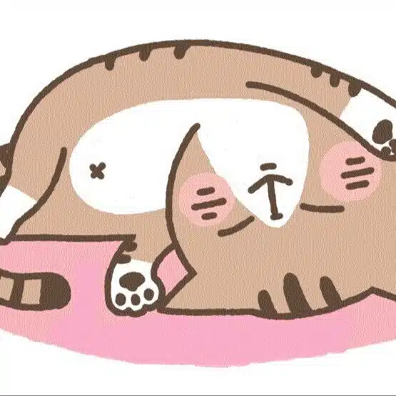 yamanekosan