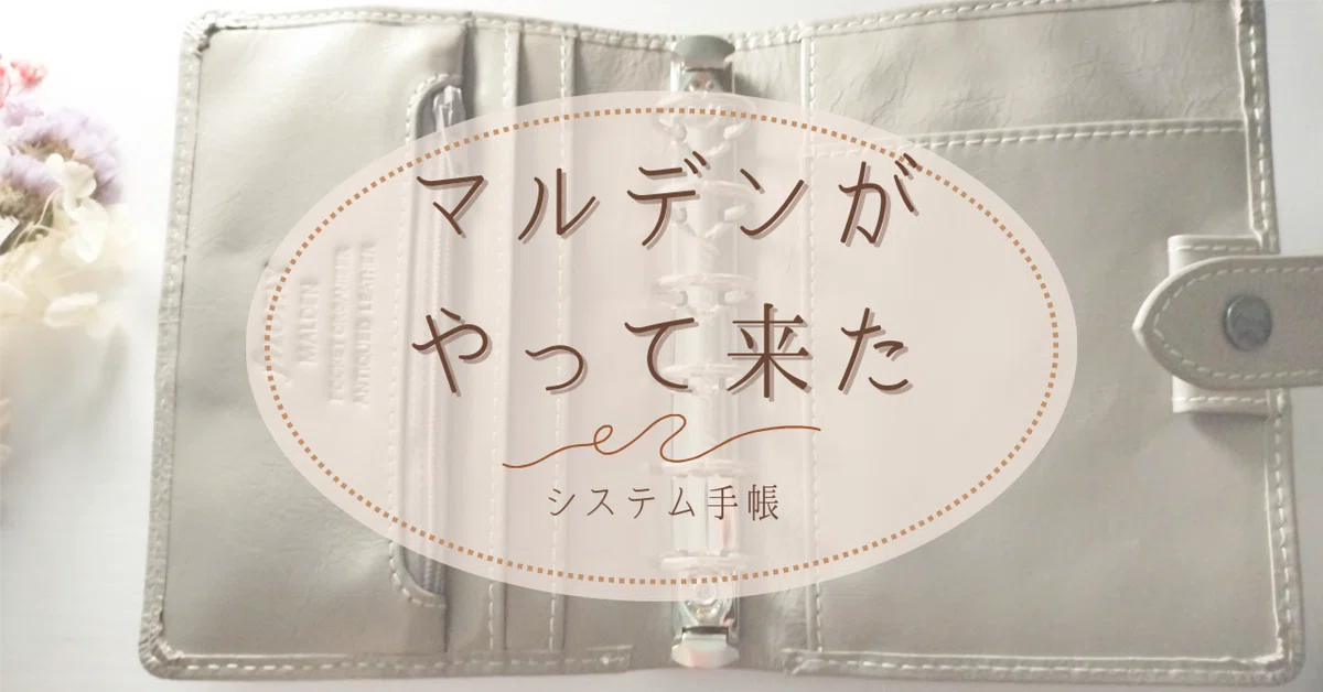 マルデンミニ6がやって来た｜すずこ