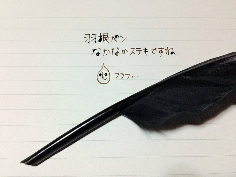 羽根ペンを作ってみた Azul Halo Note 羽根ペンを作ってみた Azul Halo Note