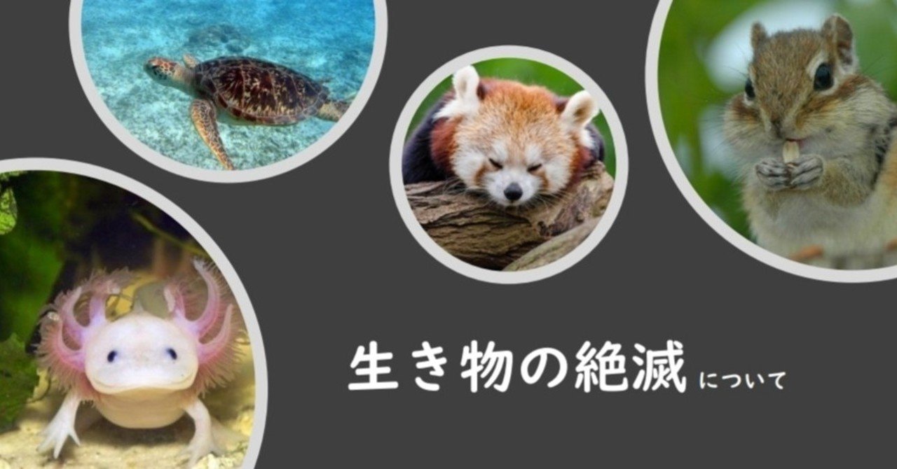 アースデイ勉強会 生き物の絶滅について ハッピーアースデイ大阪 Note