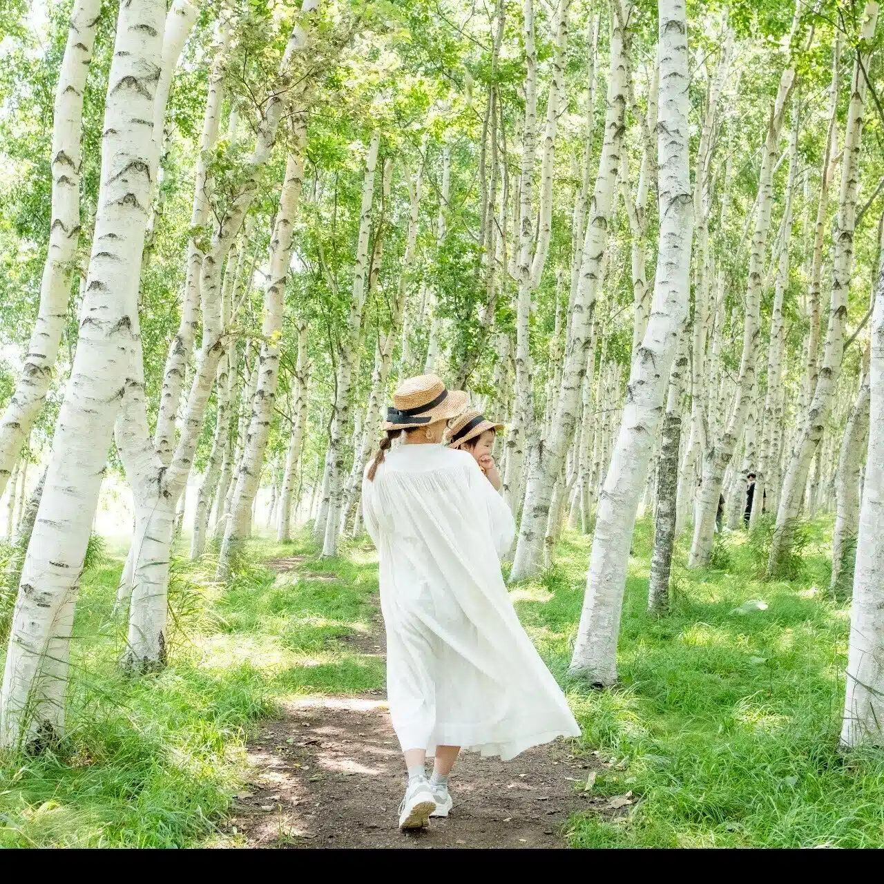 もりちゃん 🌿 旅とカメラ