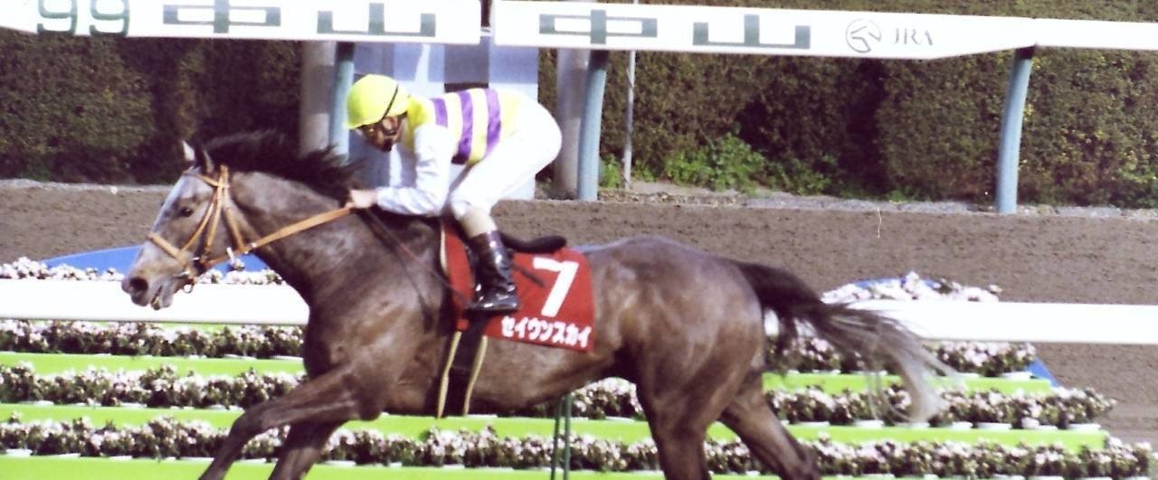 第47回日経賞：蔵出し写真 1999年 ⑦セイウンスカイ｜馬画人 (まがじん)