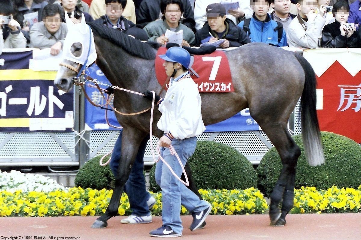 第47回日経賞：蔵出し写真 1999年 ⑦セイウンスカイ｜馬画人 (まがじん)