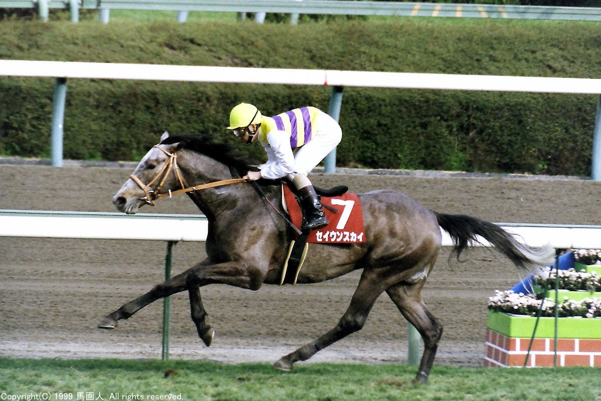 セイウンスカイ　馬券 ウマ娘 セイウンスカイ ウマ券 ウマ娘】セイウンスカイSSR評価｜パワー