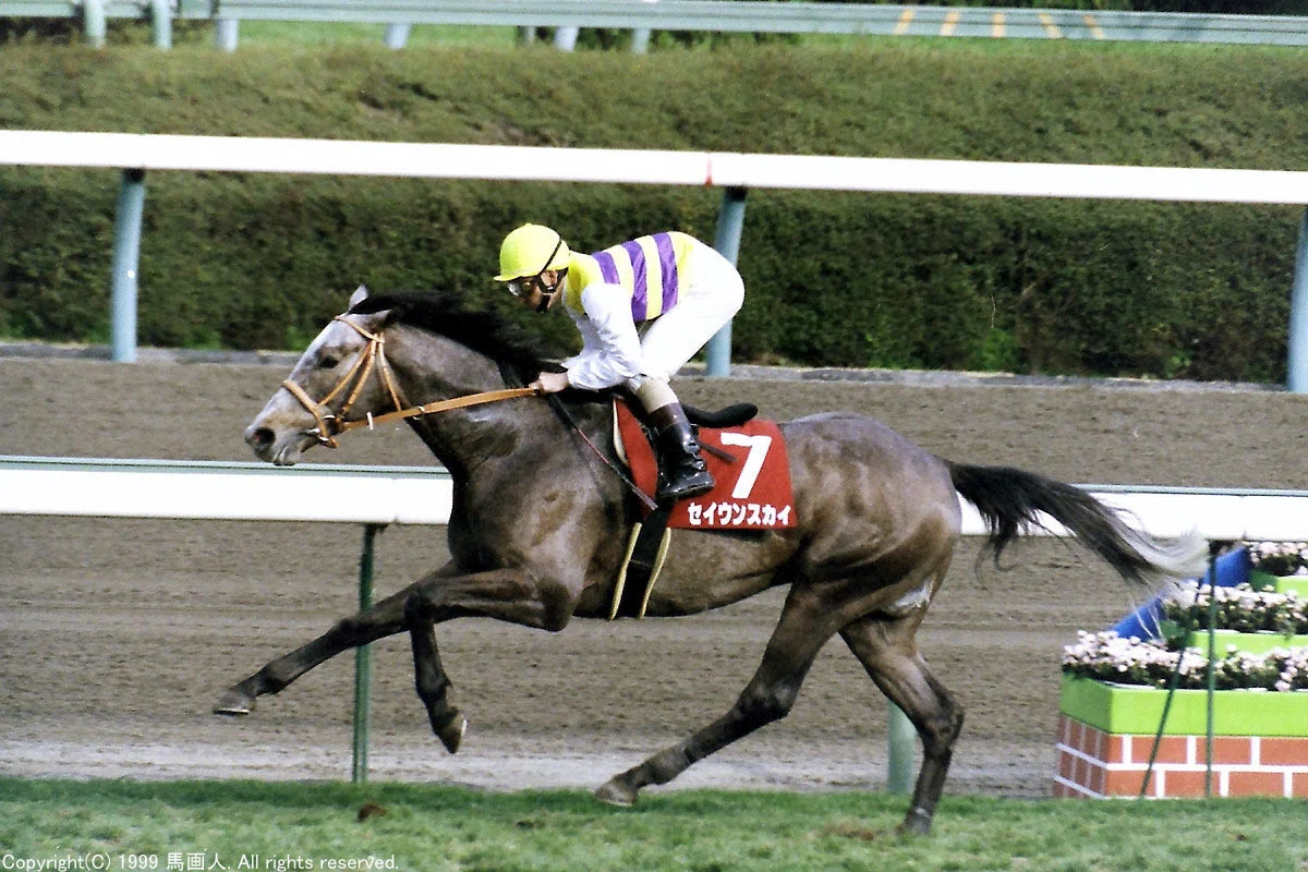 第47回日経賞：蔵出し写真 1999年 ⑦セイウンスカイ｜馬画人 (まがじん)