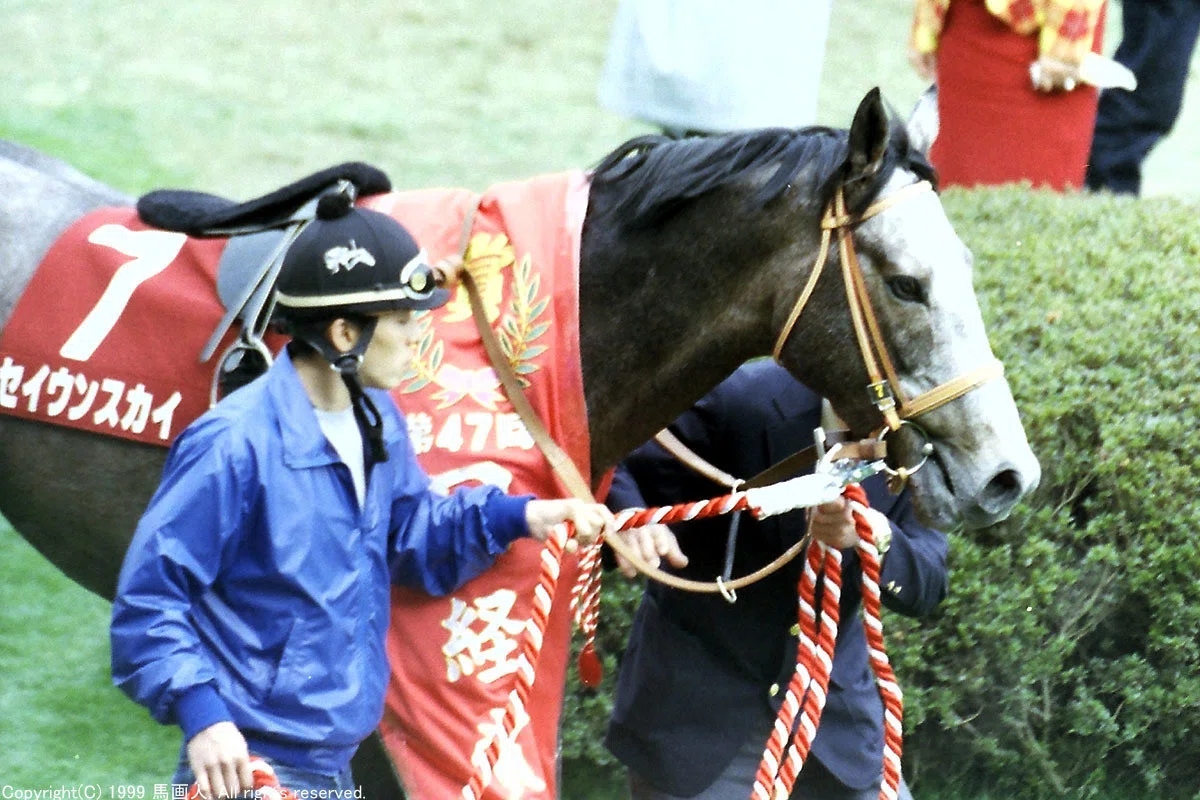 第47回日経賞：蔵出し写真 1999年 ⑦セイウンスカイ｜馬画人 (まがじん)