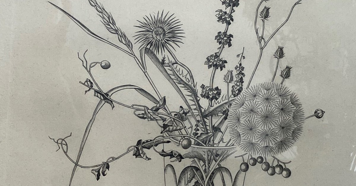 Amazon.co.jp: #長谷川 潔 銅版画2点 瓶に刺した種草 静物画