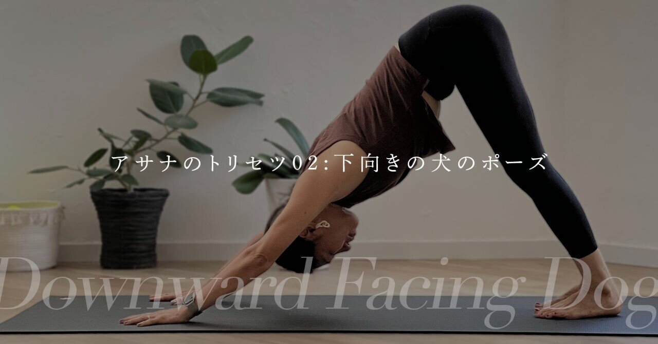 ダウンドッグ アサナのトリセツ第2回：下向きの犬のポーズ【基本編】｜SVAHA YOGA